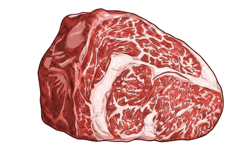 Wagyu beef illustration
